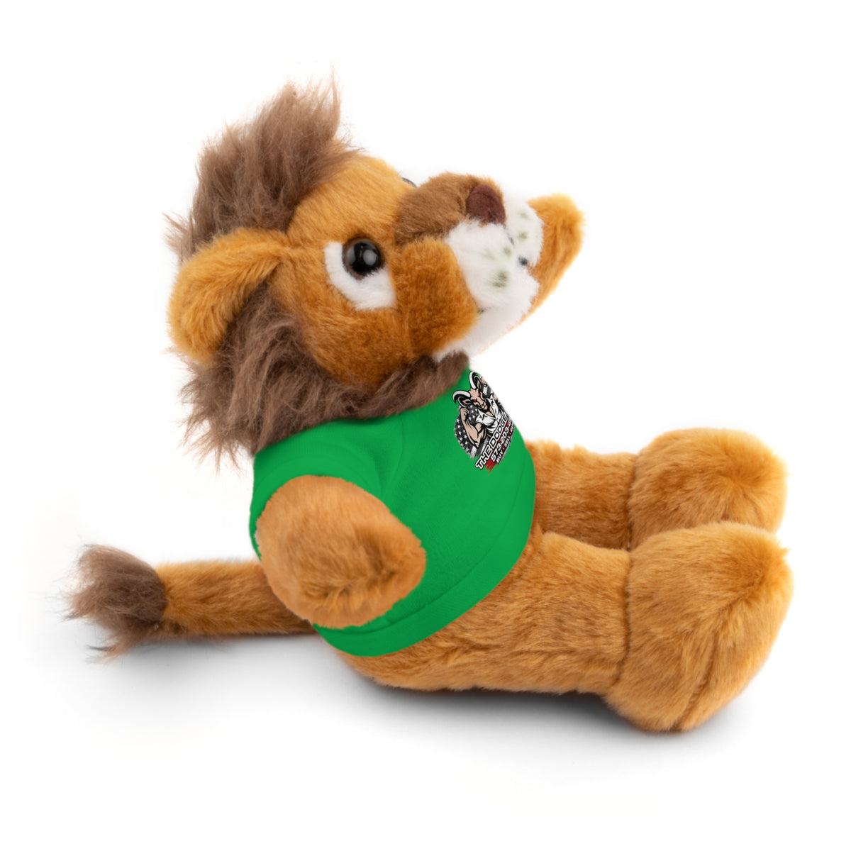 Green T-Shirt Teddy Bear with Custom Graphic — Cute Plush Gift for Kids & Fans