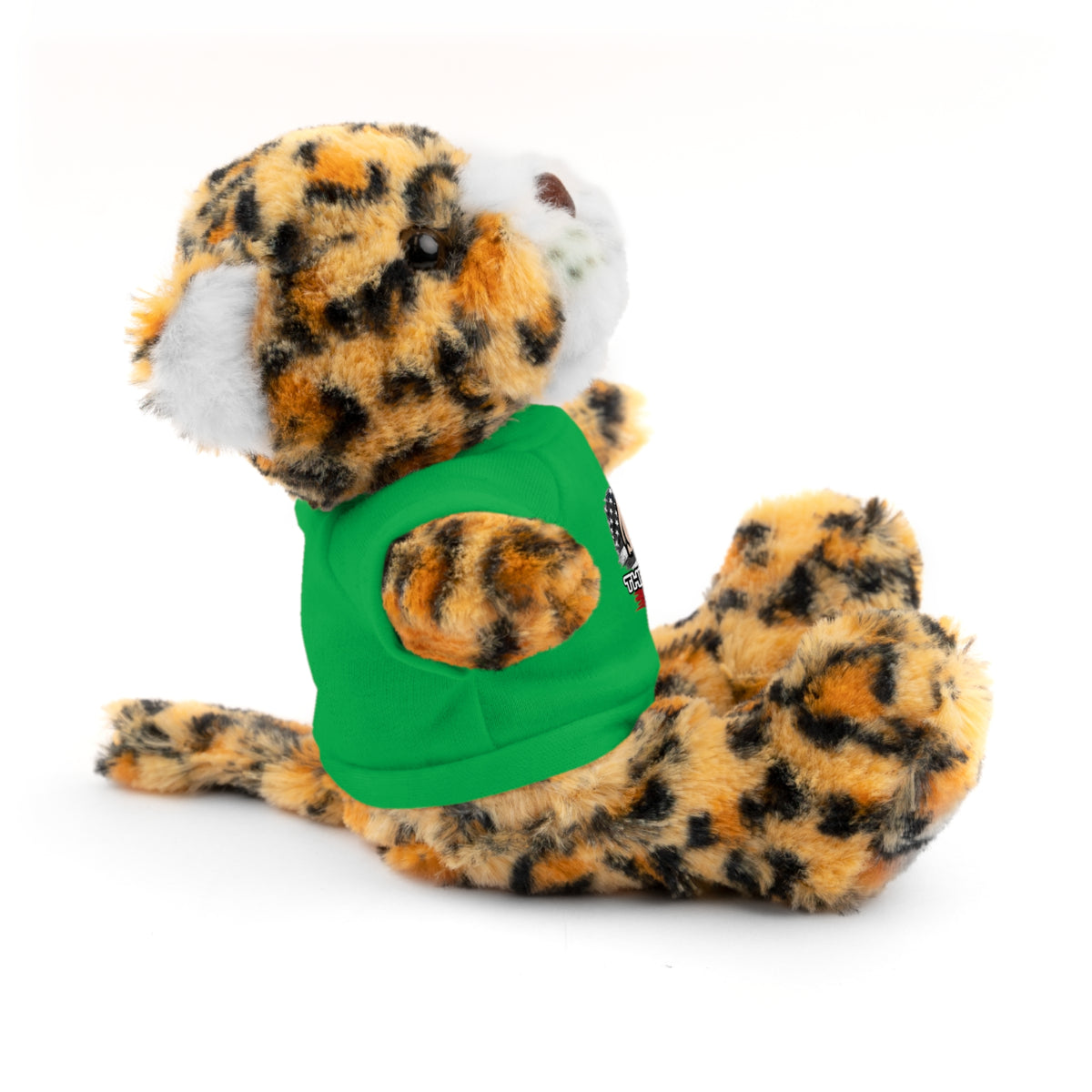 Green T-Shirt Teddy Bear with Custom Graphic — Cute Plush Gift for Kids & Fans