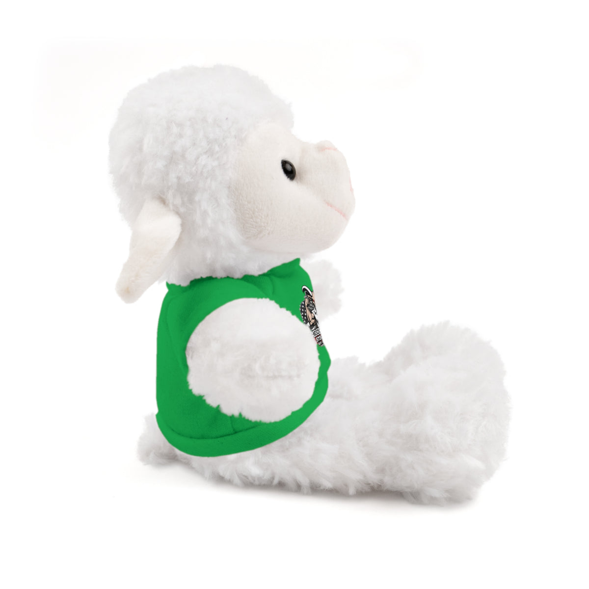 Green T-Shirt Teddy Bear with Custom Graphic — Cute Plush Gift for Kids & Fans